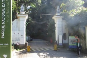 Rio: Botanical Garden, Tijuca Forest, and Parque Lage Tour