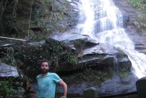 Rio: Botanical Garden, Tijuca Forest, and Parque Lage Tour