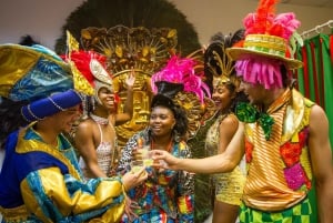 Rio Carnival Parade: Costume Experience + Transfer Included