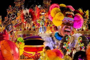 Rio Carnival Parade: Costume Experience + Transfer Included