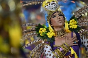 Rio Carnival Parade: Costume Experience + Transfer Included