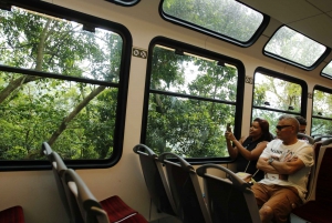 Rio: Christ the Redeemer by Train and Sugarloaf Combo Tour