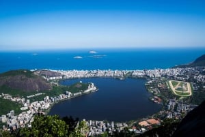 Rio: Christ the Redeemer & Selarón Steps Half-Day Tour