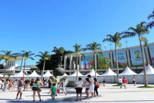 Rio: City Half-Day Tour by Van with Corcovado Mountain