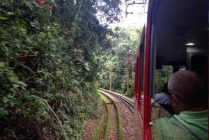 Rio: City Half-Day Tour by Van with Corcovado Mountain