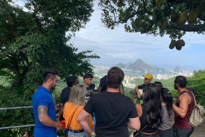 Rio de Janeiro: 3-hour tour of the Rocinha Favela with a local guide