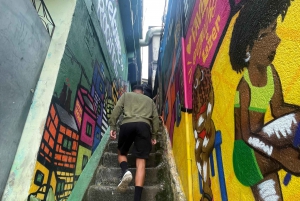Rio de Janeiro: 3-hour tour of the Rocinha Favela with a local guide