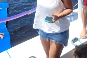 Rio de Janeiro: 3 hours Shared Catamaran Sailing Tour