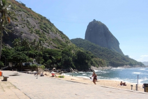 Rio de Janeiro 4, 6 or 8-Hour Private Customizable Tour