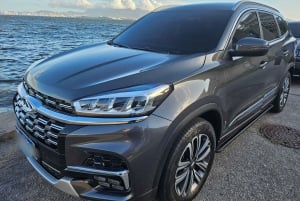 Rio de Janeiro: 4 Bar Tour with Guide and Sunset Viewpoint in Leblon