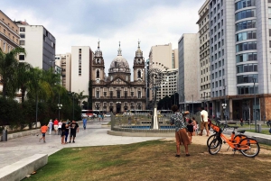 Rio de Janeiro: 4-Hour Afternoon Walking Tour