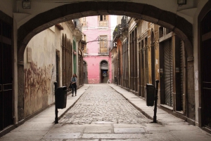 Rio de Janeiro: 4-Hour Afternoon Walking Tour