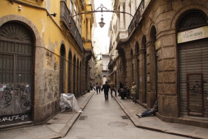 Rio de Janeiro: 4-Hour Afternoon Walking Tour