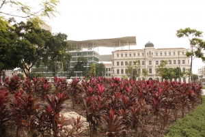 Rio de Janeiro: 4-Hour Afternoon Walking Tour