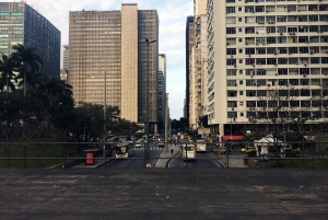 Rio de Janeiro: 4-Hour Afternoon Walking Tour