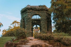 Rio de Janeiro: 4-Hour Botanical Garden & Tijuca Forest Tour