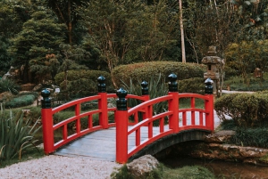 Rio de Janeiro: 4-Hour Botanical Garden & Tijuca Forest Tour