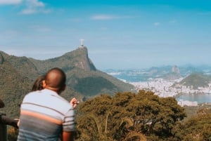 Rio de Janeiro: 4-Hour Botanical Garden & Tijuca Forest Tour