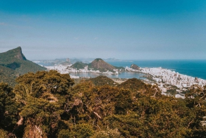 Rio de Janeiro: 4-Hour Botanical Garden & Tijuca Forest Tour