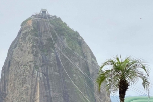 Rio de Janeiro: 4 Top Sites Guided Tour