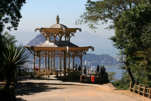 Rio Alternative Viewpoints - by Alan Denis
