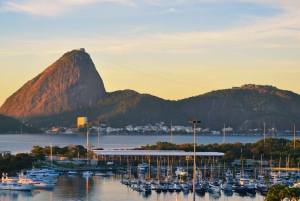 Rio Alternative Viewpoints - by Alan Denis