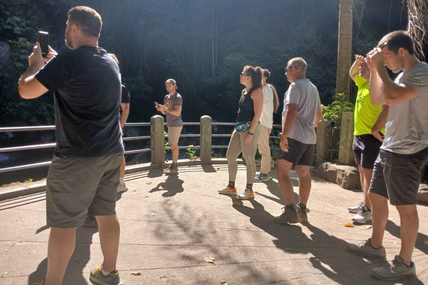 Rio de Janeiro: A Walk in the Tijuca Forest