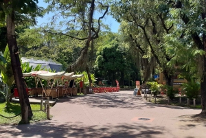 Rio de Janeiro: BioParque Guided Tour with Transfer