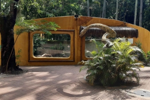 Rio de Janeiro: BioParque Guided Tour with Transfer