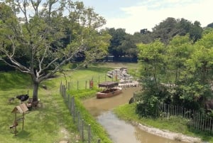 Rio de Janeiro: BioParque Guided Tour with Transfer
