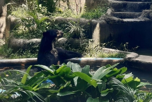 Rio de Janeiro: BioParque Guided Tour with Transfer