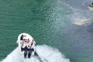 Rio de Janeiro: Boat Tour of Barra, Amores, and Islands Beaches