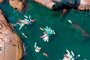 Rio de Janeiro: Boat Tour of Barra, Amores, and Islands Beaches