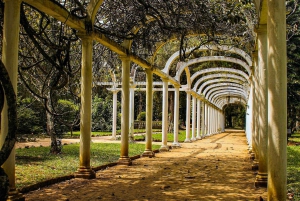 Jeep'n'Green: Rio Botanical Garden & Tijuca Rainforest Tour