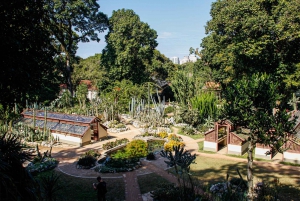Jeep'n'Green: Rio Botanical Garden & Tijuca Rainforest Tour