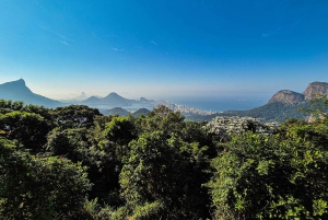 Jeep'n'Green: Rio Botanical Garden & Tijuca Rainforest Tour