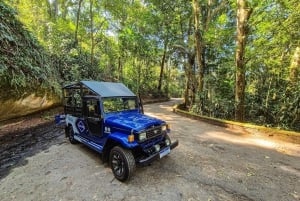 Jeep'n'Green: Rio Botanical Garden & Tijuca Rainforest Tour