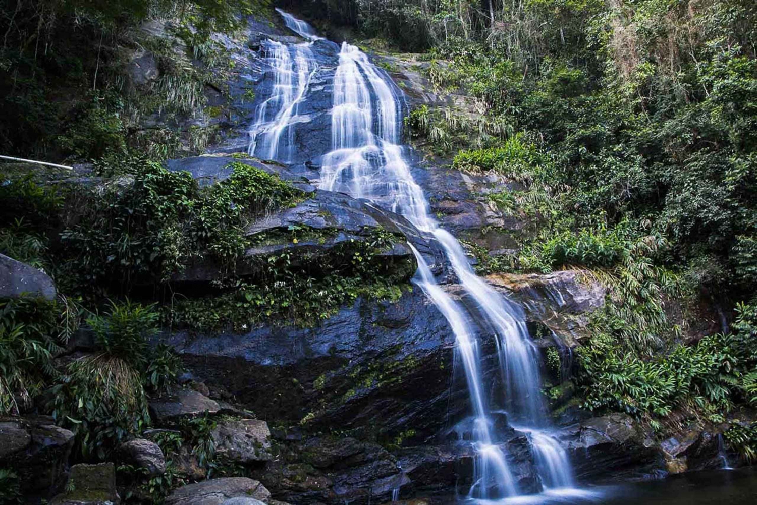 Rio de Janeiro: Botanical Garden & Tijuca Forest Guided Tour