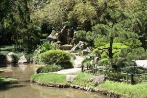 Rio de Janeiro: Botanical Garden Guided Visit