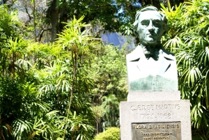 Rio de Janeiro: Botanical Garden Guided Visit