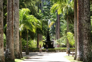 Rio de Janeiro: Botanical Garden Guided Visit