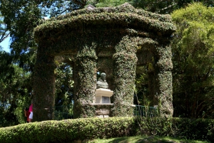 Rio de Janeiro: Botanical Garden Guided Visit
