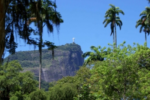 Rio de Janeiro: Botanical Garden Guided Visit