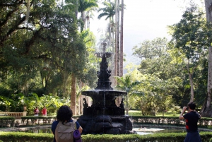 Rio de Janeiro: Botanical Garden Guided Visit