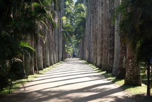 Rio de Janeiro: Botanical Garden Guided Visit