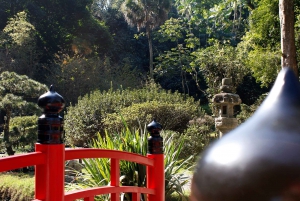 Rio de Janeiro: Botanical Garden Guided Visit