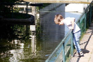 Rio de Janeiro: Botanical Garden Guided Visit