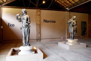 Rio de Janeiro: Botanical Garden Guided Visit
