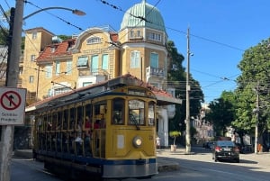 Rio de Janeiro: Christ Statue, City, & Rainforest Tour