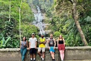 Rio de Janeiro: Christ Statue, City, & Rainforest Tour